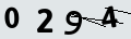 verifycode